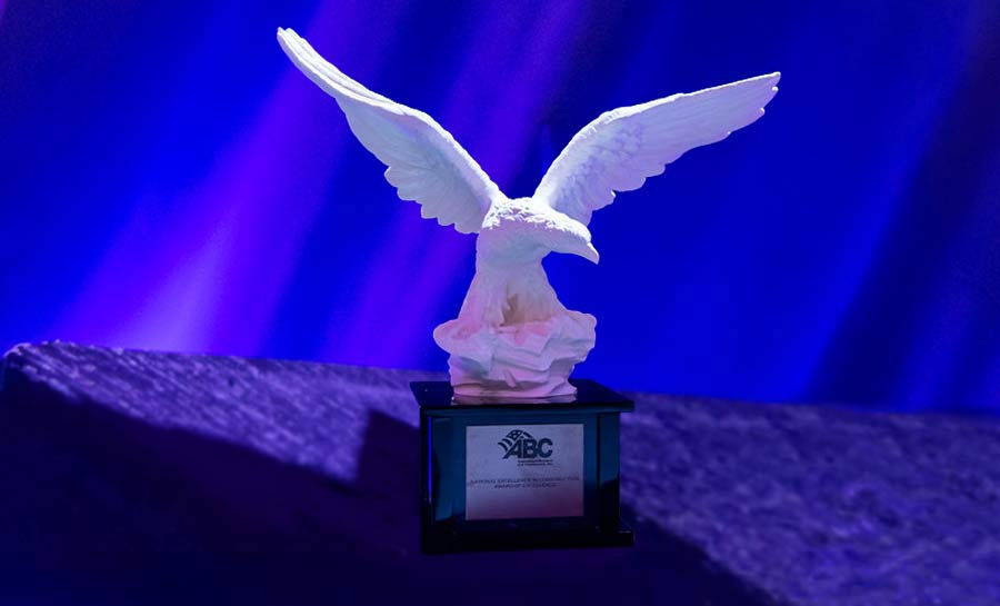 Chapter Awards