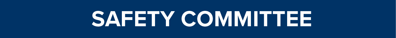 Develops programs and services