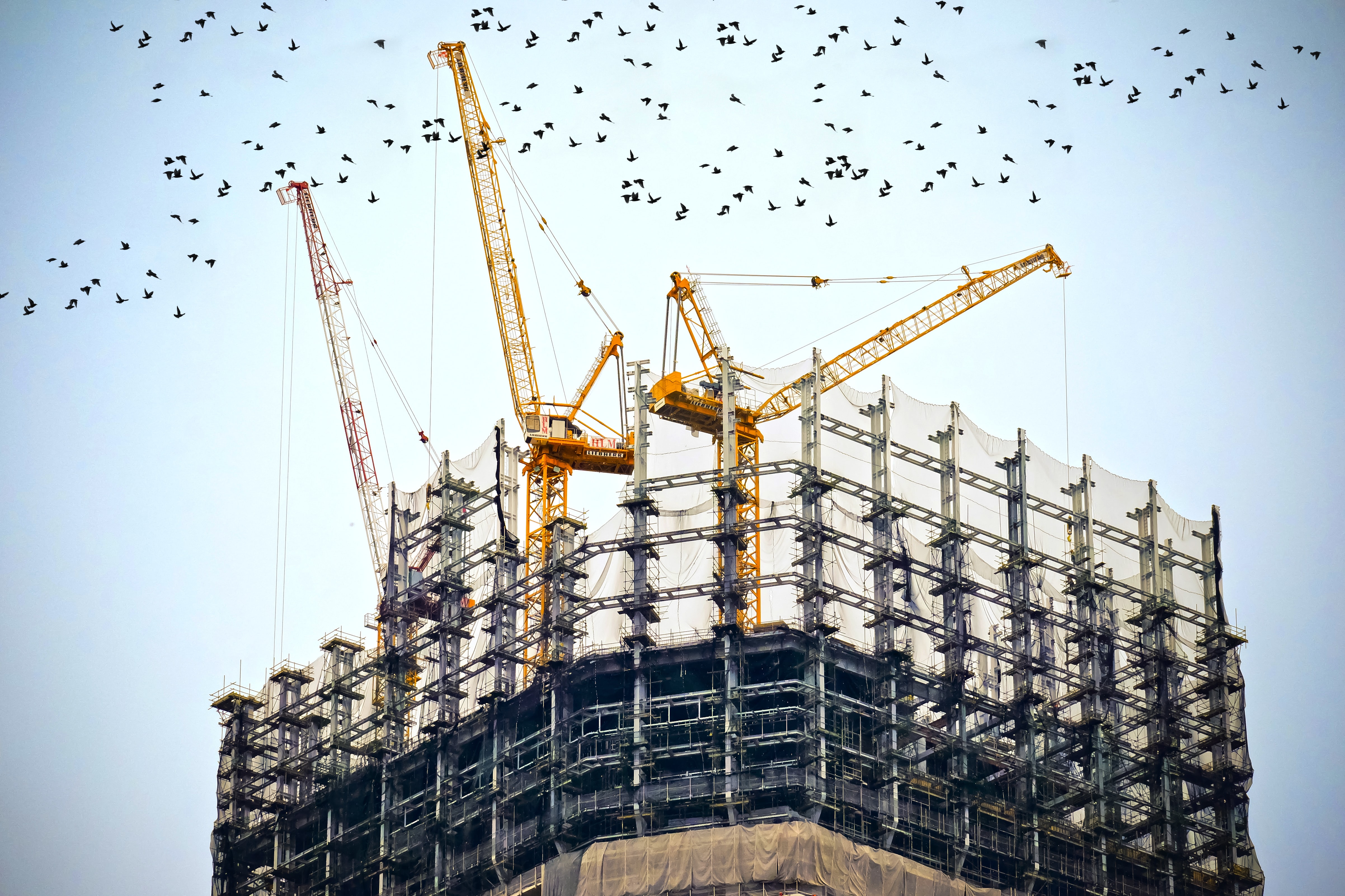 Workforce Development